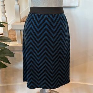 Nwot. Donna Due winter skirt